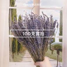 現貨 薰衣草100克 有香味 英國藍 乾燥花束 永生花 乾燥花花束 拍照道具背景 店內裝飾 生日禮物 情人節禮物, 一束100克