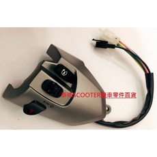 PGO 彪虎 150/125 TIGRA 把手開關總成 星光灰, 1個, 右手開關/(有待速熄火開關 無駐車開關)