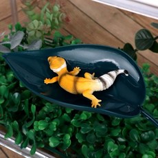 은신처 나뭇잎 도마뱀 사육장꾸미기 백업 도마뱀백업 도마뱀은신처 도마뱀사육장꾸미기, 없음