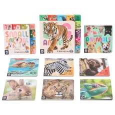 두두스토리 와글와글 동물 100 사운드북 포함 총 9종 세트, 1개