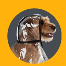 안주인 강아지 비옷 중대형견, XL