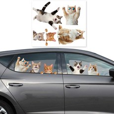 리얼 고양이 데칼 세트 5종 차량 꾸미기 귀여운 냥이즈 스티커, 1개