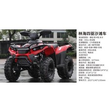 UTV卡丁車四輪越野摩托車，雙人座全地形沙灘車，成人兒童漂移賽車, 300CC四驅沙灘車, 1個