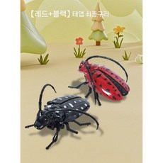 1+1움직이는 태엽 장난감 장수풍뎅이 사슴벌레 벌레 곤충 피규어, 태엽 검정+빨강 2개