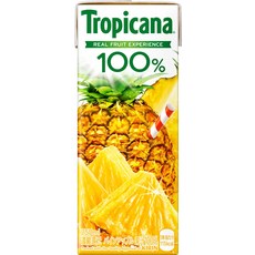 트로피카나 100% 파인애플 250ml LL슬림 × 24개