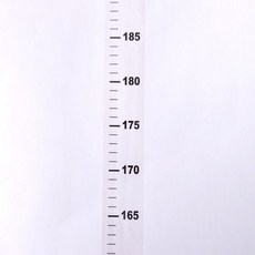 부착형 심플 키재기 줄자 투명, 빠른배송