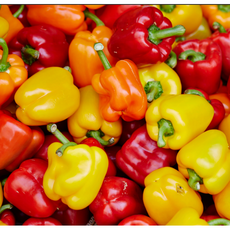 지지팜 못난이 파프리카 1kg, 1박스