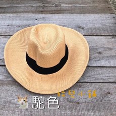 拉兒小舖 大頭圍草帽 大帽沿 遮陽爵士帽