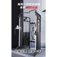 台灣發 小飛鳥訓練機 鋼繩訓練機 可調式訓練機 龍門訓練機 高拉訓練機 划船訓練機 飛鳥配件, 1個, 槓片70kg*2邊