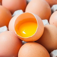 농부들의수확 HACCP 인증 당일산란 계란 무정란 30구 특란, 농부들의수확 HACCP 인증 당일산란 계란 무정란 30