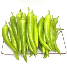 당뇨에 좋은 기능성 고추 혈당 조절에 탁월한 당조 고추, 1개, 당조고추 400g