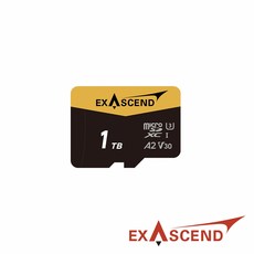 Exascend Catalyst microSDXC 記憶卡 V30 高速存儲, 1個, 1TB