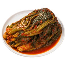 [재구매율1위] 여수 돌산 갓김치 국내산 최상급재료 당일제조 생김치 HACCP 인증, 1개, 3kg