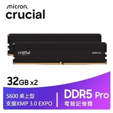 Crucial DDR5 Pro 記憶體, 1個