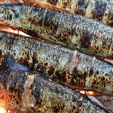 손질 꽁치1kg(7미내외), 1개, 1kg(손질후700g내외)