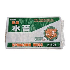 온누리농원 고급수태, 1개, 150g