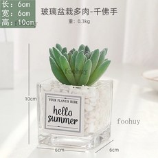 ins風仿真多肉盆栽 仙人掌綠植 桌面擺設 綠植假花 裝飾品 客廳擺件 台灣出貨, 千佛手+ins小方玻, 1個