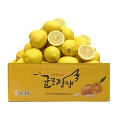 국내 제주산 레몬 농협선별 귤로장생 2.5KG, 1박스, 2.5KG( 로얄~소과)