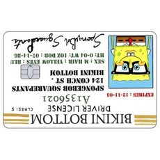 카툰 운전면허증 신용카드 스킨 패트릭 스타 스티커 패치 은행카드 무광 데칼 장식 선물, Big Chip, 5 1PCS