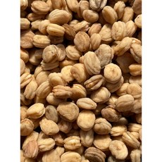 청춘농원 26년 봄 발아 개갑완료 인삼씨 산양삼씨 장뇌삼씨 인삼씨앗, 1개, 300g