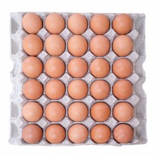 HACCP인증 무항생제 1등급 생란 특란 30구