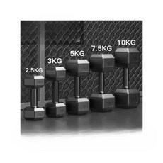 덤벨 아령 웨이트 육각형 덤벨홈 피트니스 장비, 1. 육각형 6kg (3kgx2)