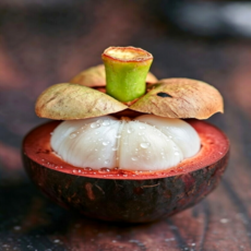 태국산 프리미엄 고당도 망고스틴 생과, 1개, 500g