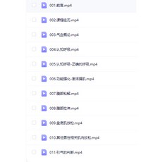 道家調陽訓練完整體系課 50講 (影片 講義)