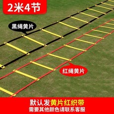 4米10片兩用敏捷梯 贈收納包, 3mm厚度2米4節,個, 1個