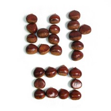 알밤 (대) 1kg 2025년 햇밤 국내산 밤 생밤 (칼집X) 쪽빛누리, 1개