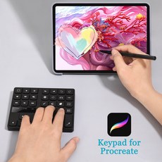 35키 Procreate 프로크리에이트 전용 키보드 프로크리에이트단축키 키보드 아이패드 전용 바로 가기 블루투스 무선 키보드(왼손 조작 최적화 크리에이터 필수템), 검은색