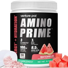 Venture Pal Clean Amino Energy Pre-Workout Powder EAA Formula with BCAA Green Tea & Green Coffee, 1개