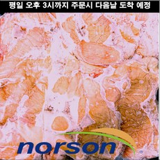 돼지막창 돈막창 10kg 냉동 원물 놀슨 NORSON 멕시코산 식당 도매 가공 업소용 수입돼지고기 막창, 1박스