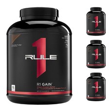 RULE1 乳清蛋白粉 巧克力軟糖風味, 4個, 2320克
