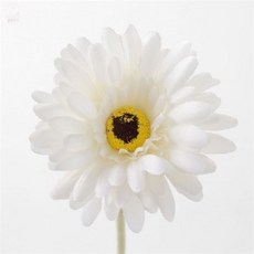 조화 화이트 조화꽃장식