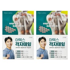아텍스 격자테이프 B타입 부착은 쉽게 효과는 빠르게(28 x 31mm), 2개, 120매