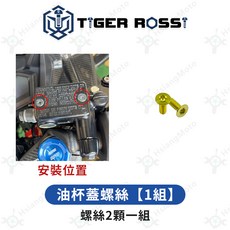 TIGER ROSSI 鈦合金螺絲 適用於 CBR150r, 1個, 8_油杯蓋螺絲【1組】