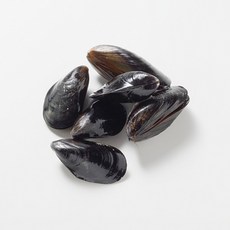 신선 담백한 다듬이 홍합 수염제거 당일조업 국내산 홍합, 1박스, 3kg (210-240미 내외)