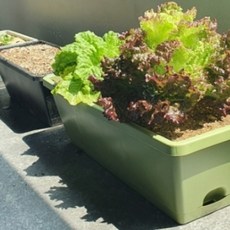 직사각형화분 대형 텃밭화분 다육이화분 거실화분