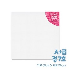 A+ 하비 캔버스 정사각 7호 (30*30)