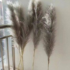 팜파스 마른꽃 대형 부케 인테리어 베이지 거실장식 화병세트, 원색 1.2미터 5개