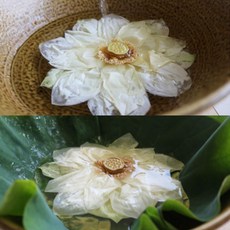 산지직송 연꽃 향을 살린 냉동 연꽃차 3송이, 25g, 3개, 1개입