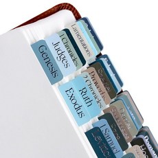 Idyllic Grace - 성경 탭 은박 글자 성경 공부 도구 성경 저널링 구약 및 신약 기독교 가톨릭 외경 색인 90개의 탭 광택 라미네이트 내구성 -, Courageous