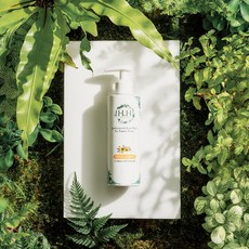 H.H 女性私密衣物手洗精 200ml 清新花園 溫和潔淨 呵護貼身衣物, 1個