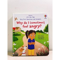 Usborne 為什麼我有時候會生氣 (情緒管理) Lift-the-flap