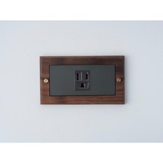 Panasonic國際牌 Risna黑胡桃木開關面板，適用插座與開關，提升居家品味, 1個, 2.0附接地單插座（灰