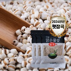 [대숲맑은물애] 24년산 의이인 율무 1kg-5kg, 3kg, 1개