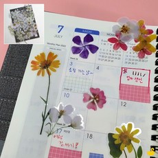 GOS 압화 스티커 화이트 압화스티커