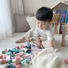 앤도르프 원목 블럭 완구 놀이 나무 우드 블록 115p 유아 장난감 파우치 가이드북제공, 색상