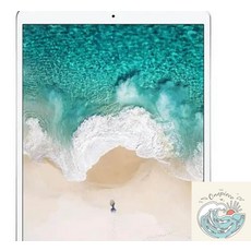 로빈상점 아이패드 프로 10.5 강화유리 보호필름 1매입 테블릿필름 테블릿액정필름 지문방지필름